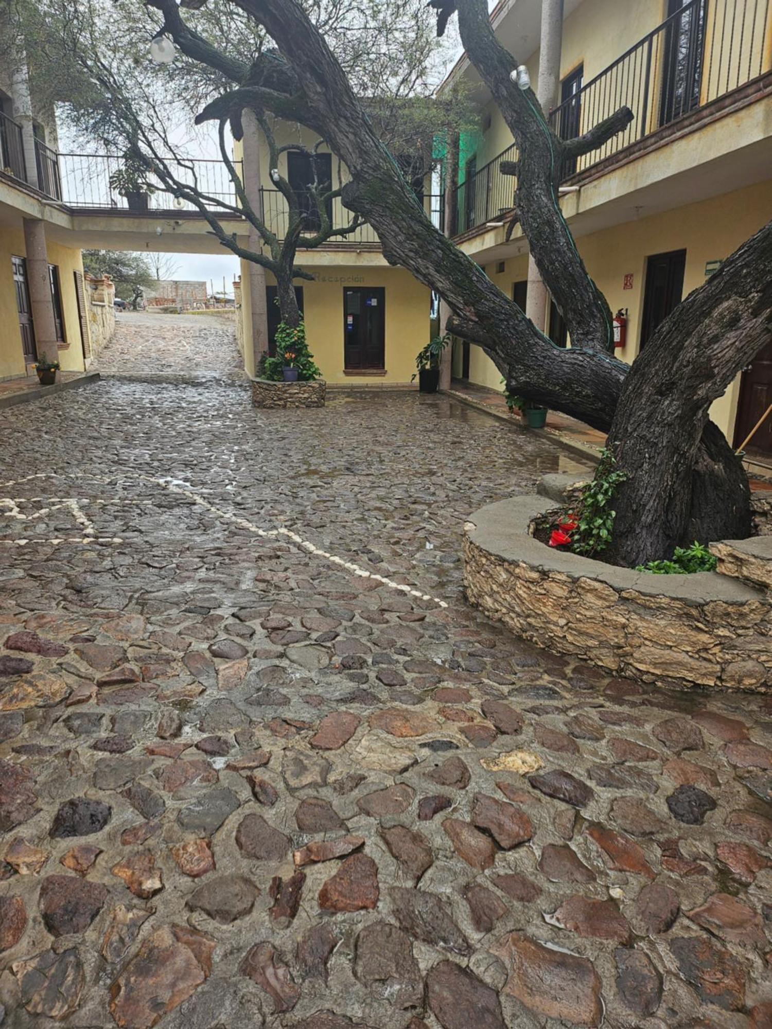 Hotel Villa Aurora Bernal Bagian luar foto