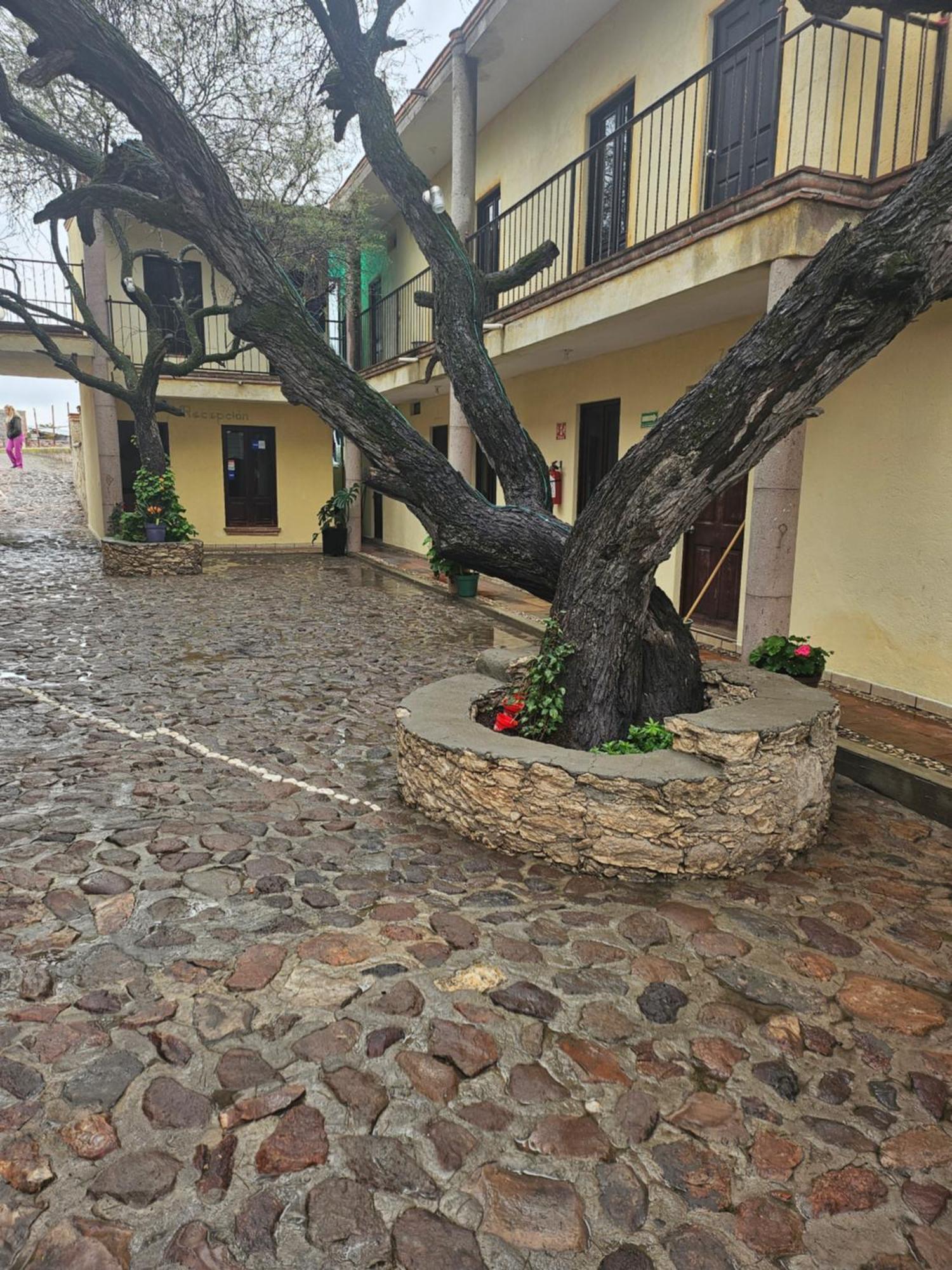 Hotel Villa Aurora Bernal Bagian luar foto